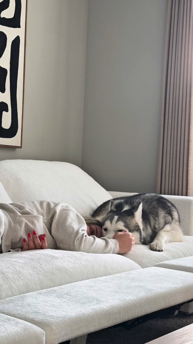 Video by carolinaabdala