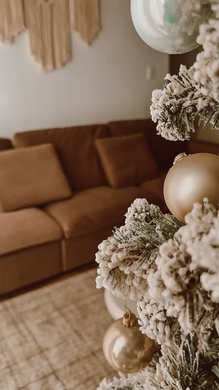 Video by deboraoehler